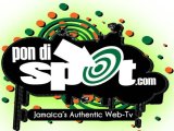SpotLive