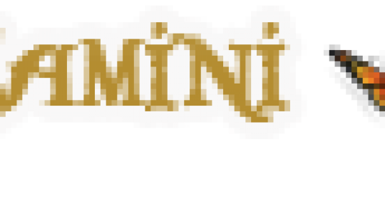 Samini Tv Samini Tv