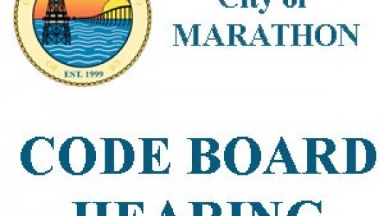 Aug 12, 2009 Code Board Hearing