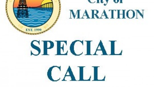 Aug 20, 2009 Special Call