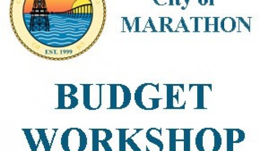 Aug 20, 2009 Budget Meeting