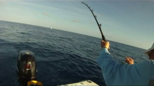 JD's 150lb Goliath Grouper JD's 150lb Goliath Grouper