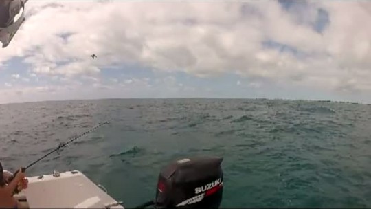 Tracy and Tammy Fish, Snorkel and Spear.mp4 Tracy and Tammy Fish, Snorkel and Spear.mp4