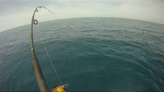 Trying to Tag Permit.mp4 Trying to Tag Permit.mp4