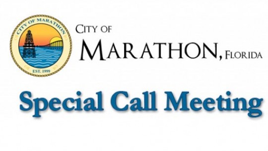 Feb 21, 2013 Special Call Meeting