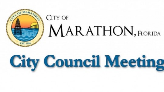 City Council Meeting March 12, 2013