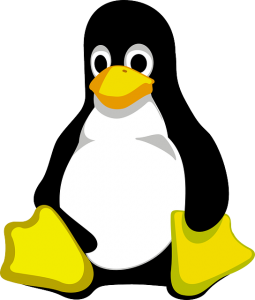 Linux Streaming Server