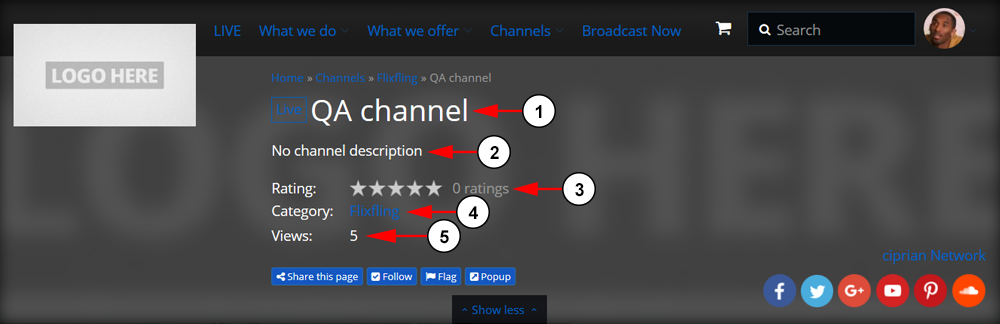 Channel Page Detailed-4
