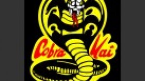 Cobra Kai Entertainment