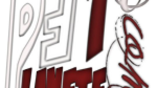 PlaneteF1 PlaneteF1