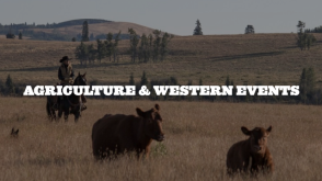 Calgary Stampede NWEC 2025