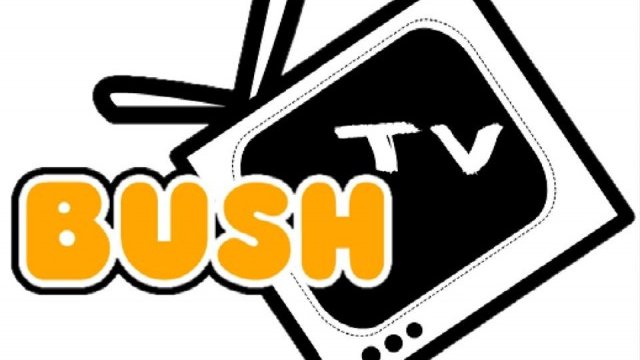 bush tv software update download bush tv software update download