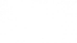 Homoeopathy lectures