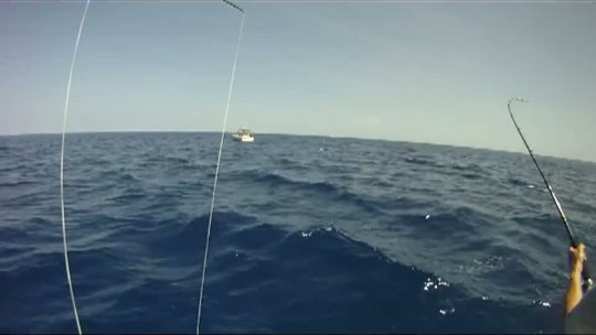 Mitch Offshore Tuna and Dolphin