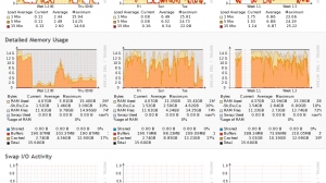 Server Metrics - Memory Usage