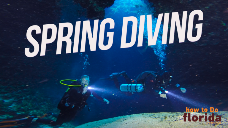 “how to Do Florida” Spring Diving in Columbia County
